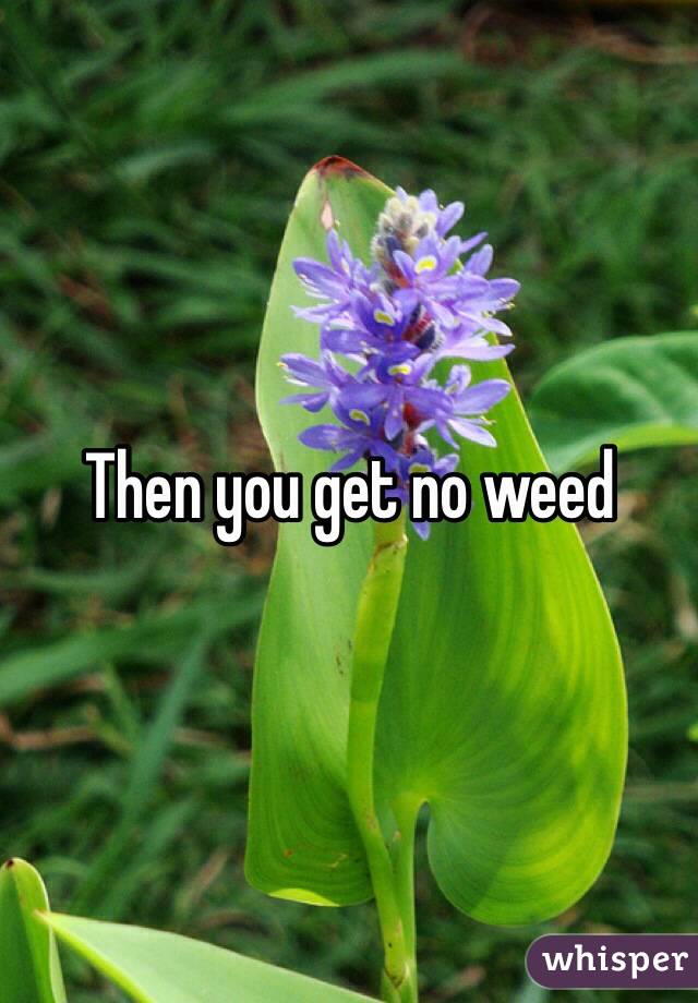 Then you get no weed
