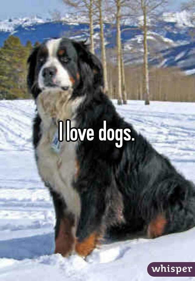 I love dogs.
