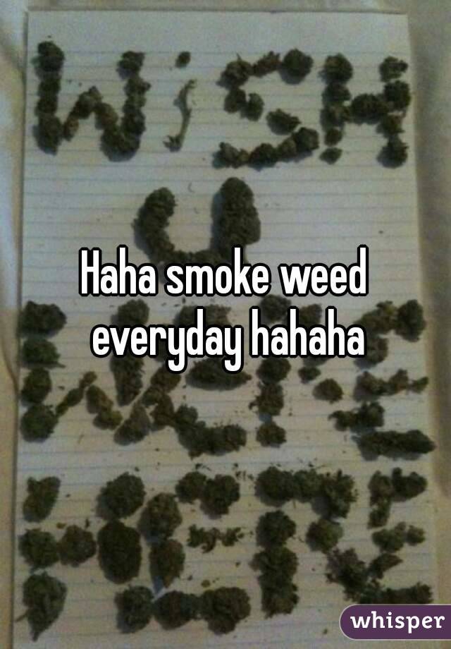 Haha smoke weed everyday hahaha