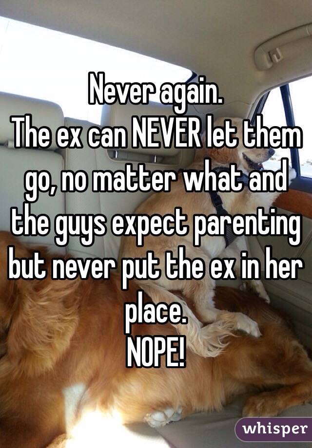 Never again. 
The ex can NEVER let them go, no matter what and the guys expect parenting but never put the ex in her place. 
NOPE!