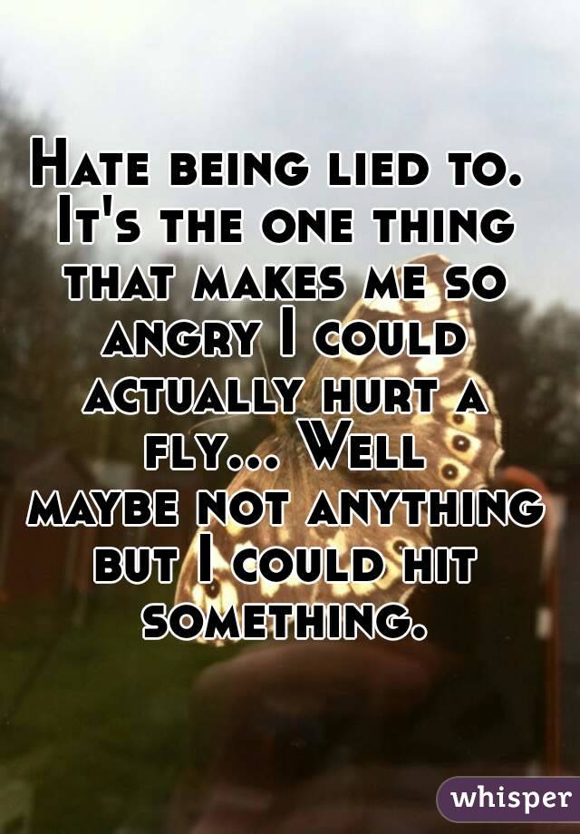 Hate being lied to. It's the one thing that makes me so angry I could actually hurt a fly... Well maybe not anything but I could hit something.