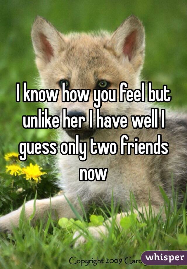 I know how you feel but unlike her I have well I guess only two friends now
