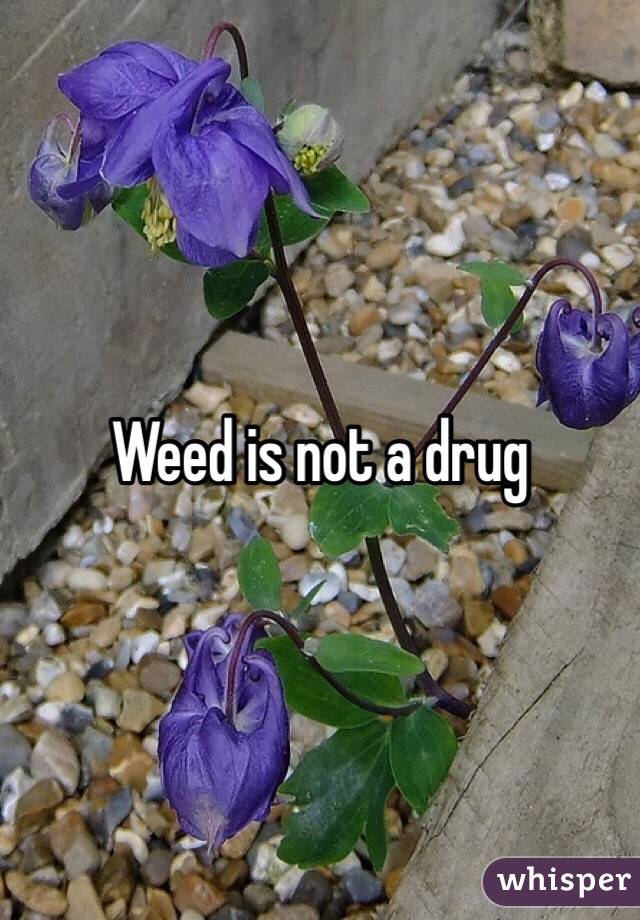 Weed is not a drug 