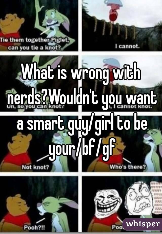 What is wrong with nerds?Wouldn't you want a smart guy/girl to be your/bf/gf