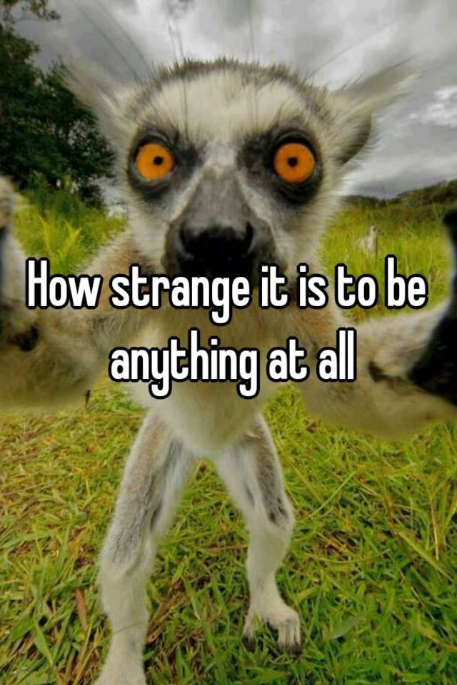 How strange it is to be anything at all