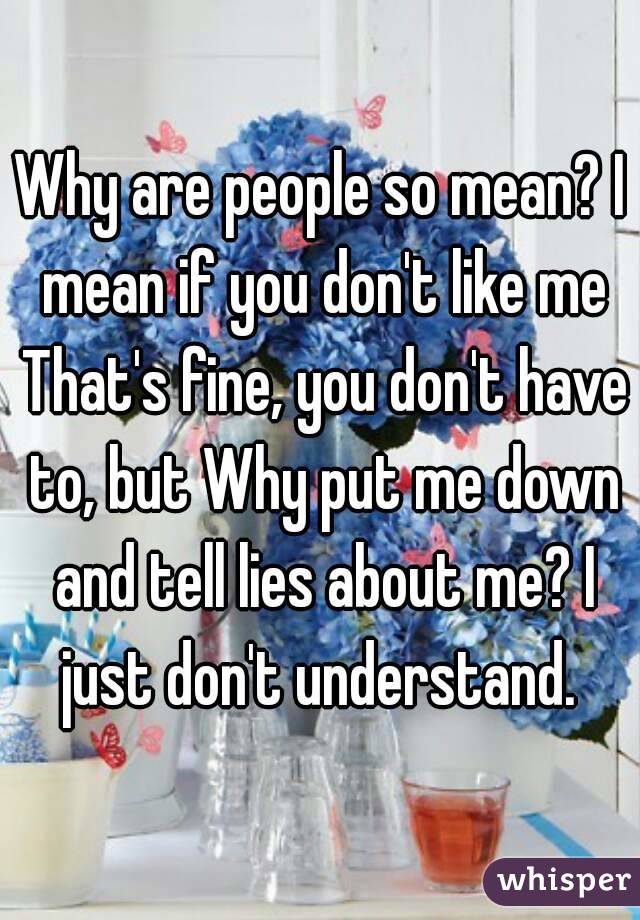 Why are people so mean? I mean if you don't like me That's fine, you don't have to, but Why put me down and tell lies about me? I just don't understand. 