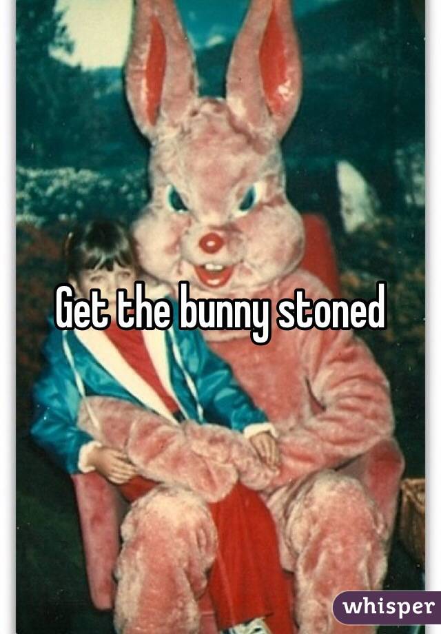 Get the bunny stoned 