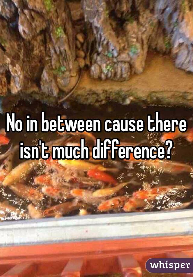 No in between cause there isn't much difference?