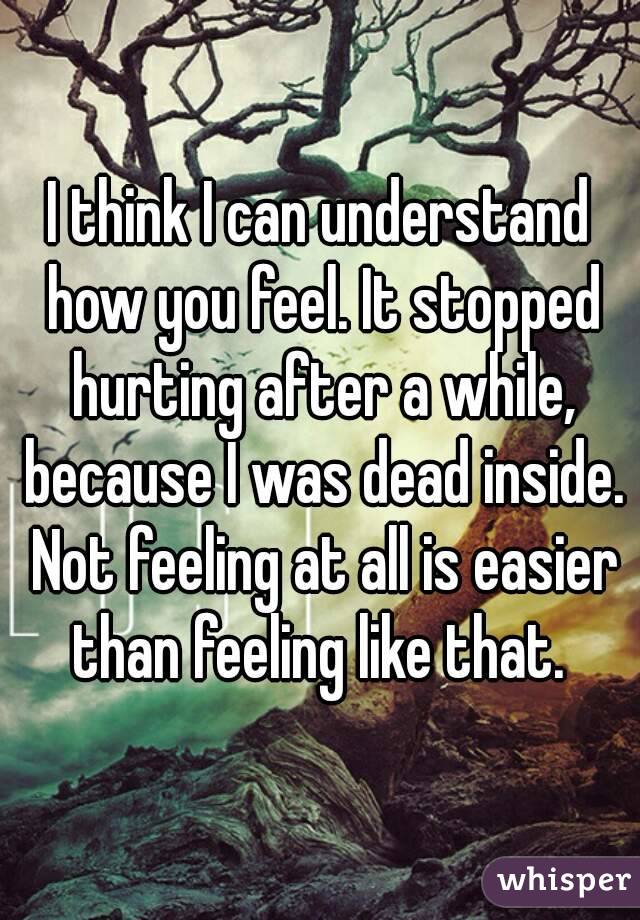 I think I can understand how you feel. It stopped hurting after a while, because I was dead inside. Not feeling at all is easier than feeling like that. 
