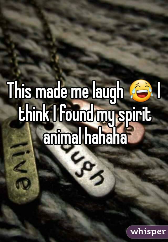 This made me laugh 😂 I think I found my spirit animal hahaha
