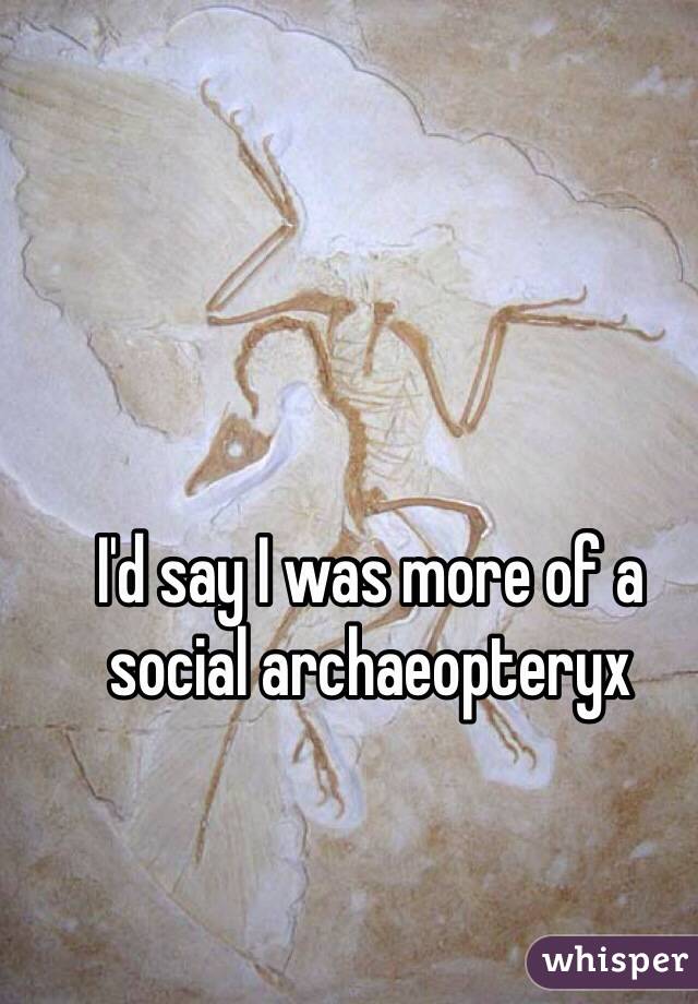 I'd say I was more of a social archaeopteryx 