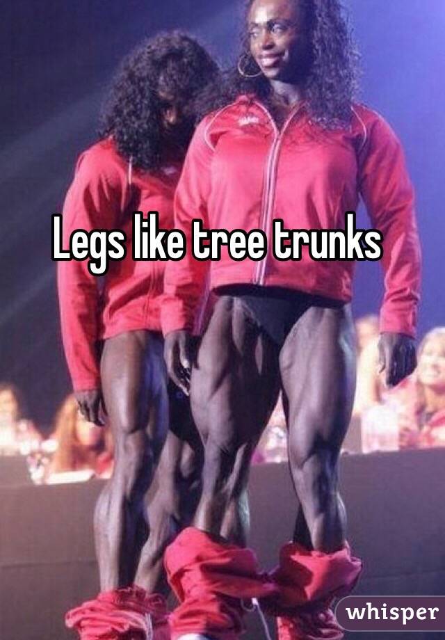 Legs like tree trunks