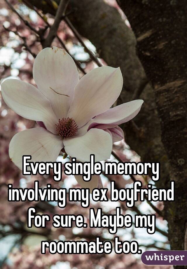 Every single memory involving my ex boyfriend for sure. Maybe my roommate too.