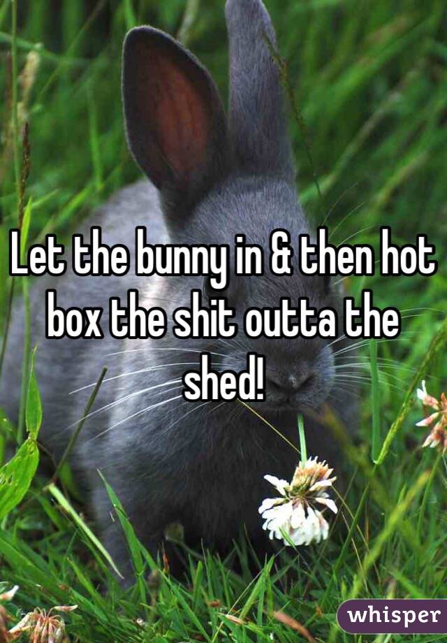 Let the bunny in & then hot box the shit outta the shed!