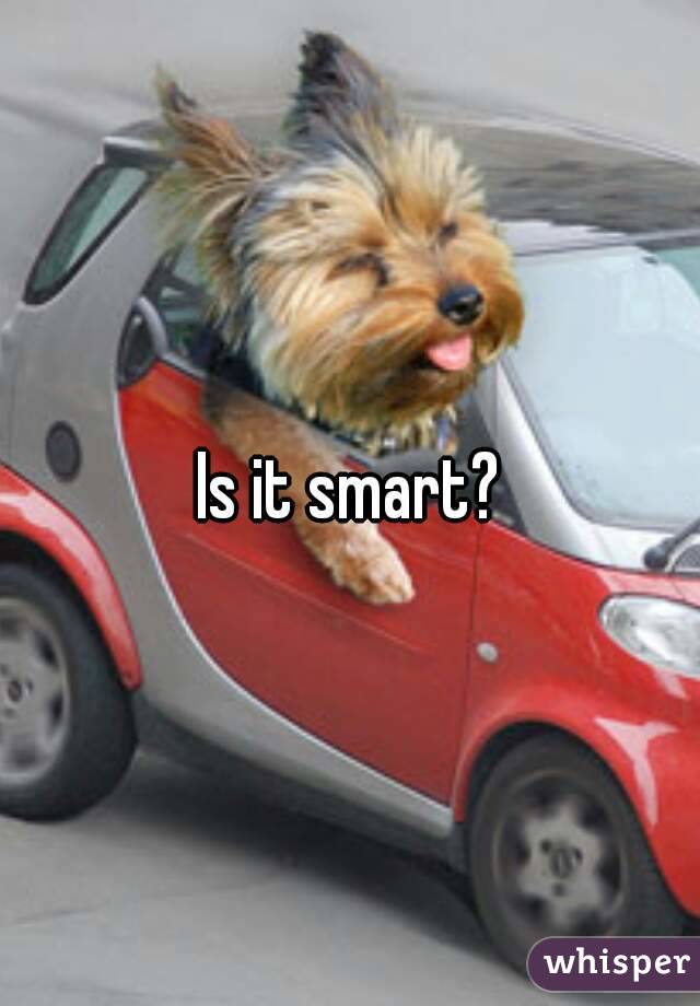 Is it smart?