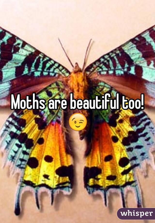 Moths are beautiful too! 😉