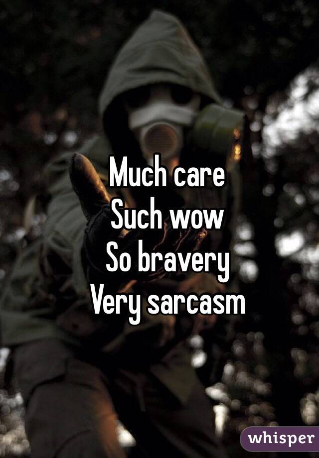 Much care
Such wow
So bravery 
Very sarcasm