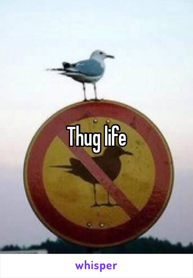 Thug life
