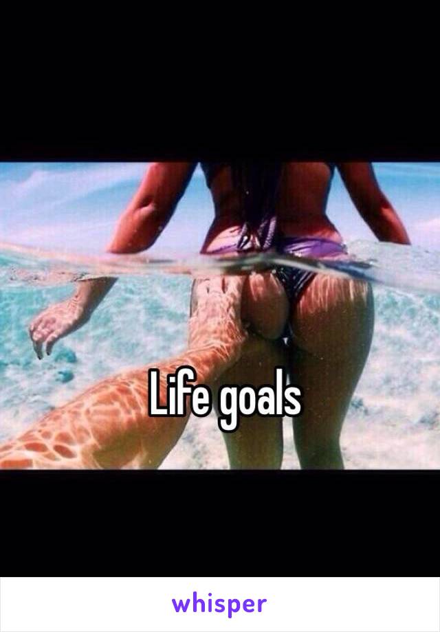 Life goals