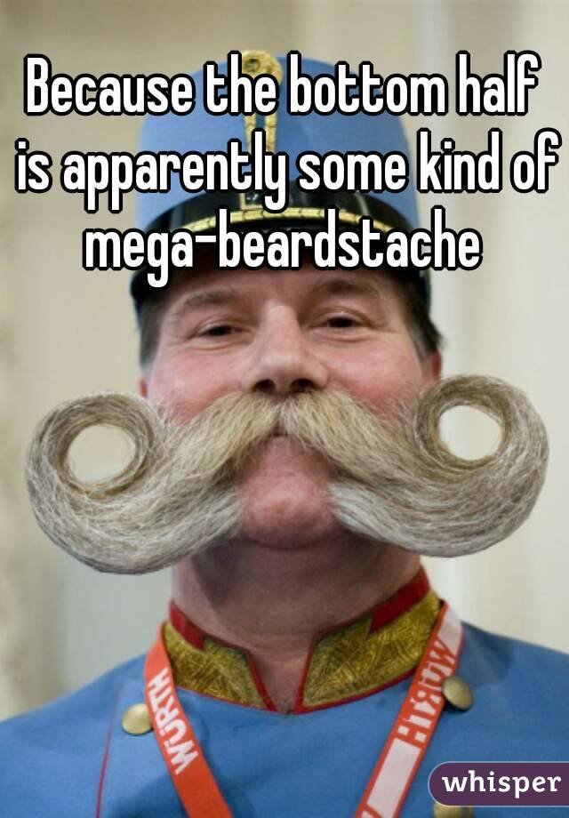 Because the bottom half is apparently some kind of mega-beardstache 