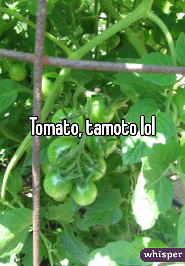 Tomato, tamoto lol
