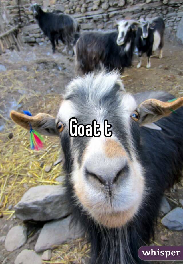 Goat t