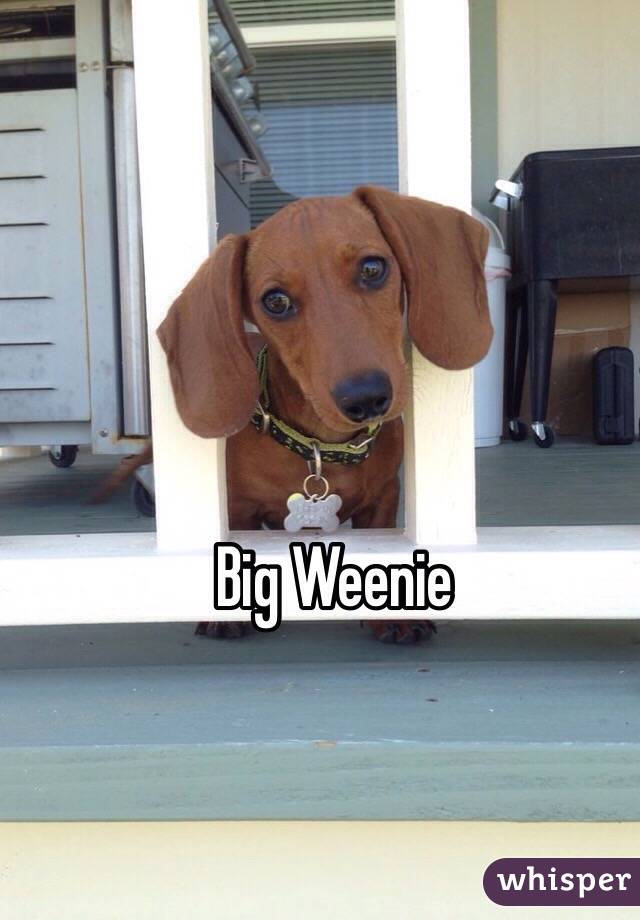 Big Weenie 