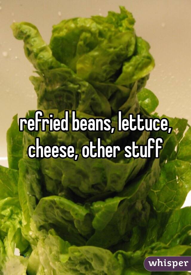 refried beans, lettuce, cheese, other stuff 