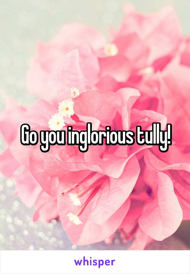 Go you inglorious tully!