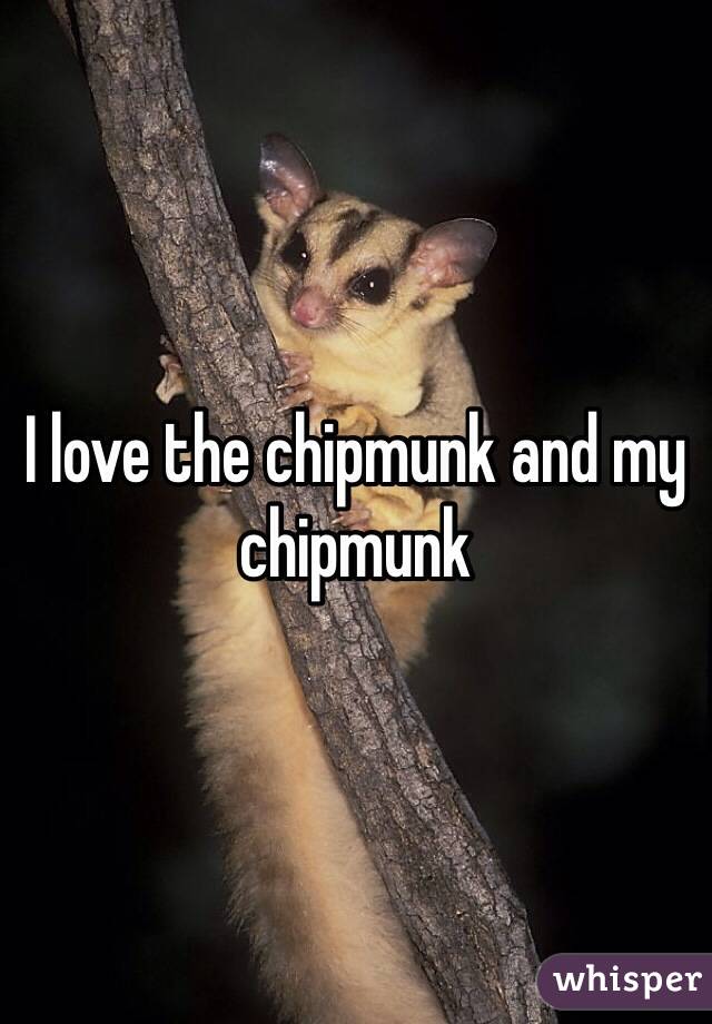 I love the chipmunk and my chipmunk 