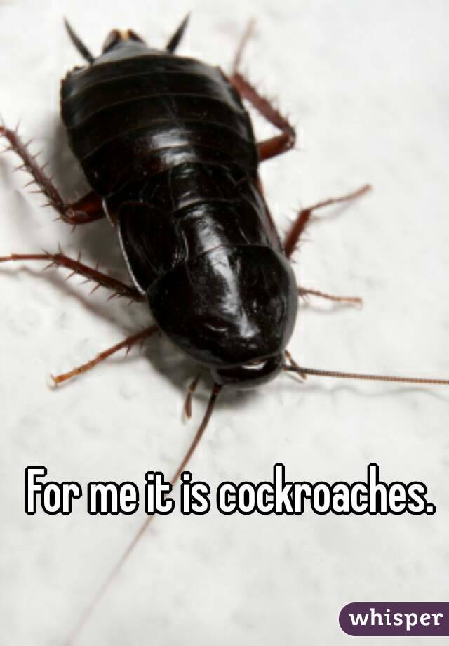 For me it is cockroaches.
