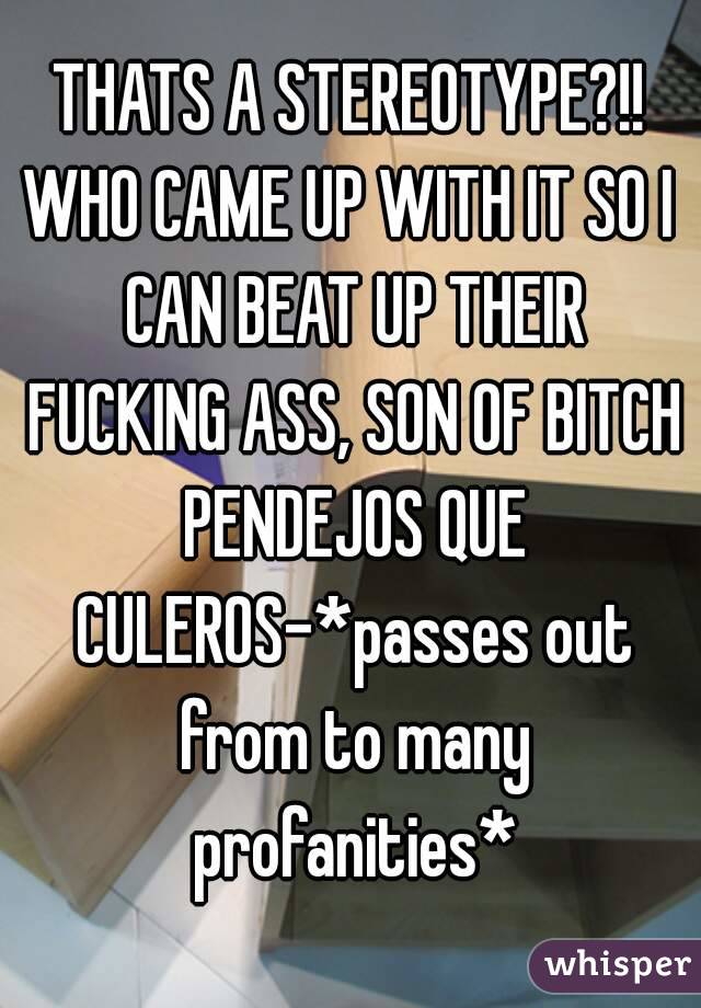 THATS A STEREOTYPE?!!
WHO CAME UP WITH IT SO I CAN BEAT UP THEIR FUCKING ASS, SON OF BITCH PENDEJOS QUE CULEROS-*passes out from to many profanities*