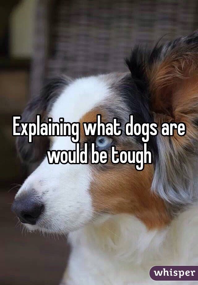 Explaining what dogs are would be tough 