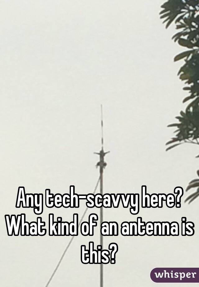





Any tech-scavvy here? What kind of an antenna is this?