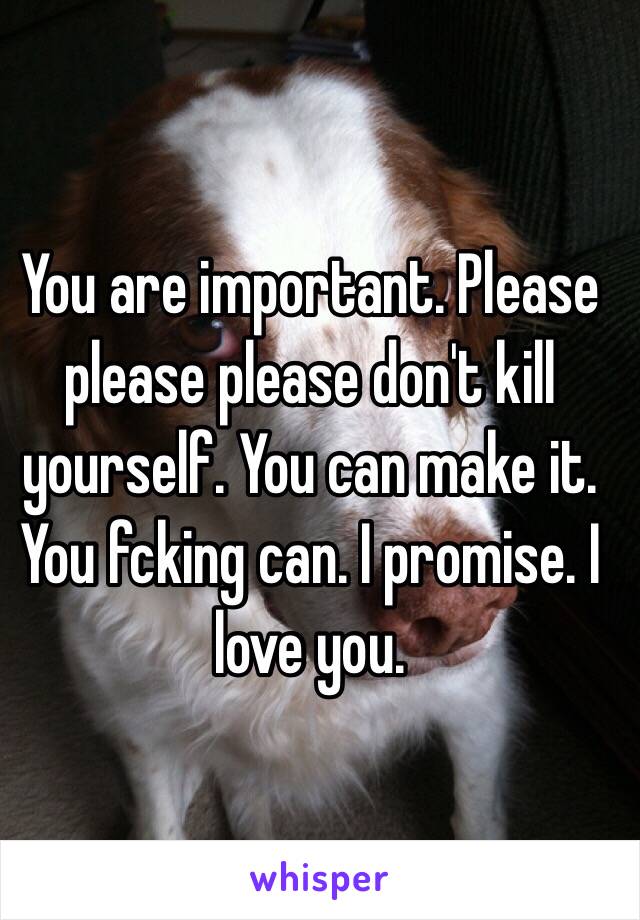 You are important. Please please please don't kill yourself. You can make it. You fcking can. I promise. I love you.