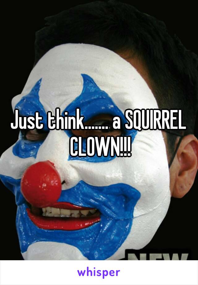 Just think....... a SQUIRREL CLOWN!!!