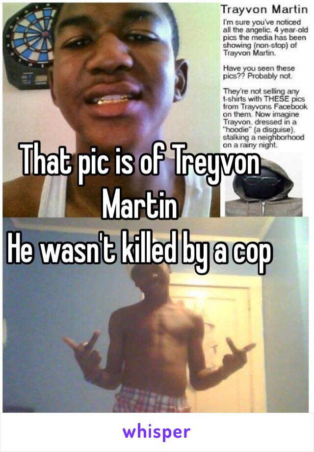 That pic is of Treyvon Martin
He wasn't killed by a cop