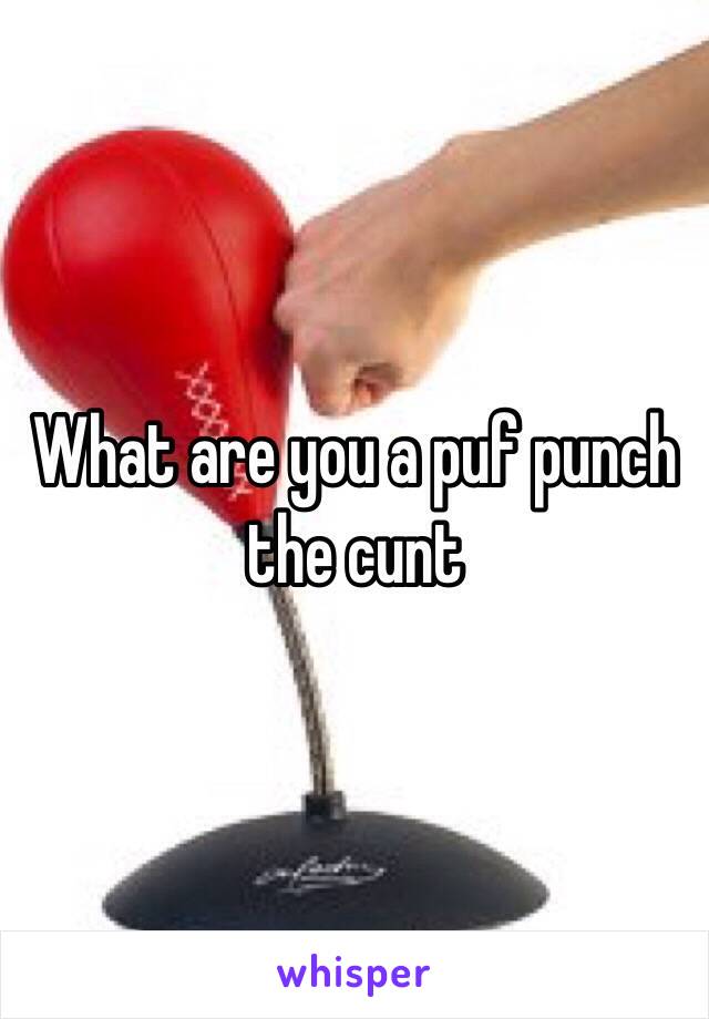 What are you a puf punch the cunt 