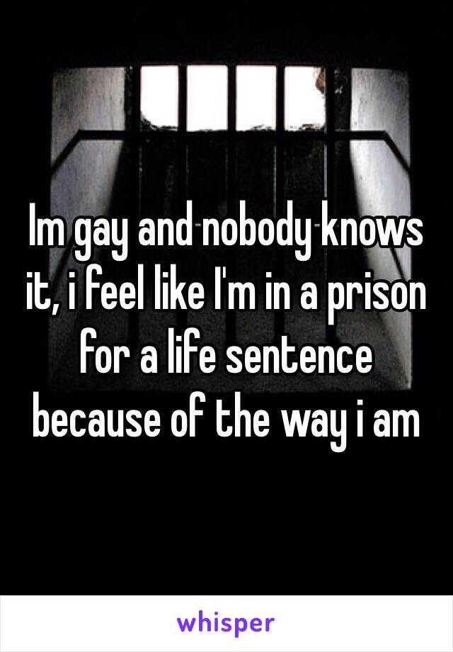 Im gay and nobody knows it, i feel like I'm in a prison for a life sentence because of the way i am