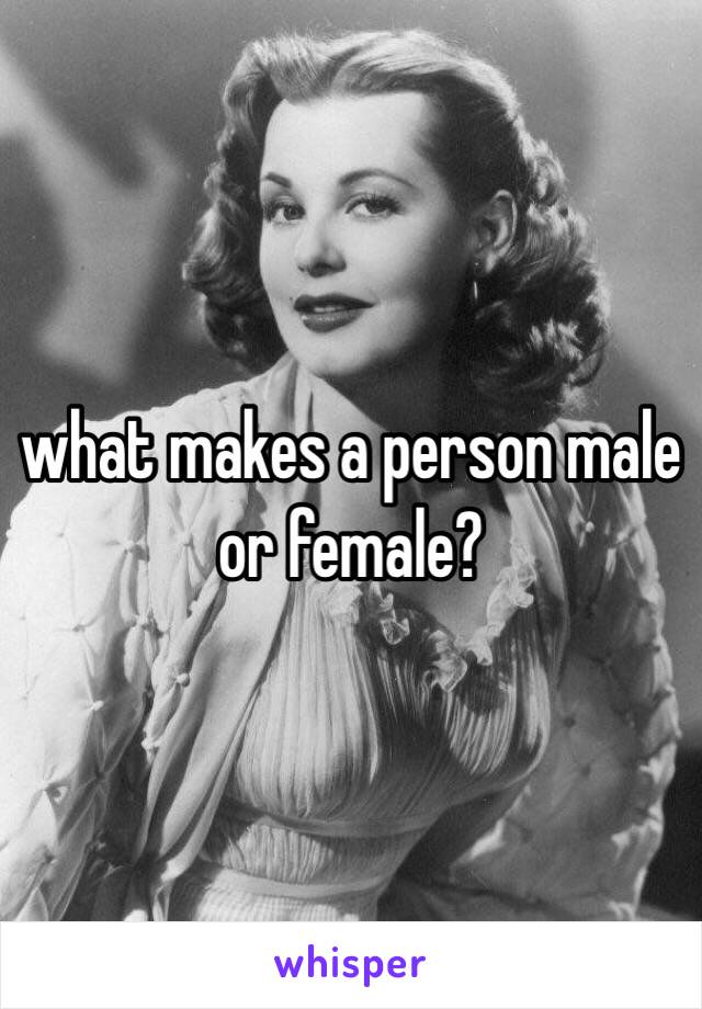 what makes a person male or female?