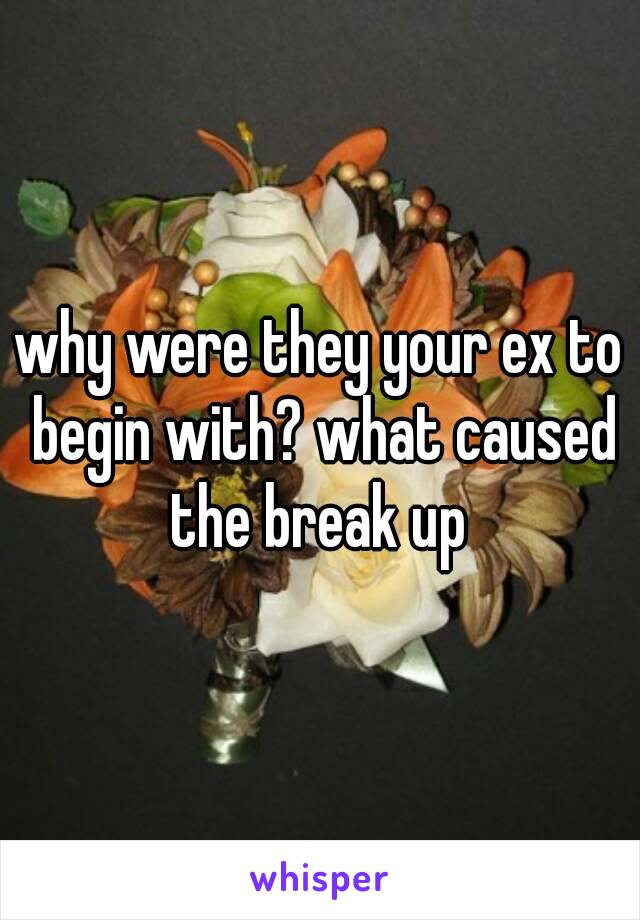 why were they your ex to begin with? what caused the break up 