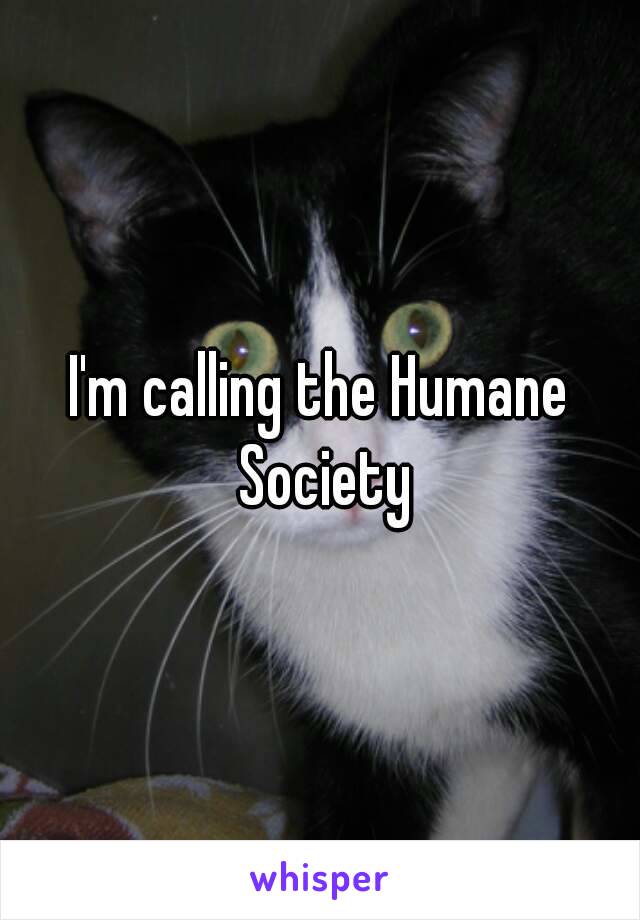 I'm calling the Humane Society