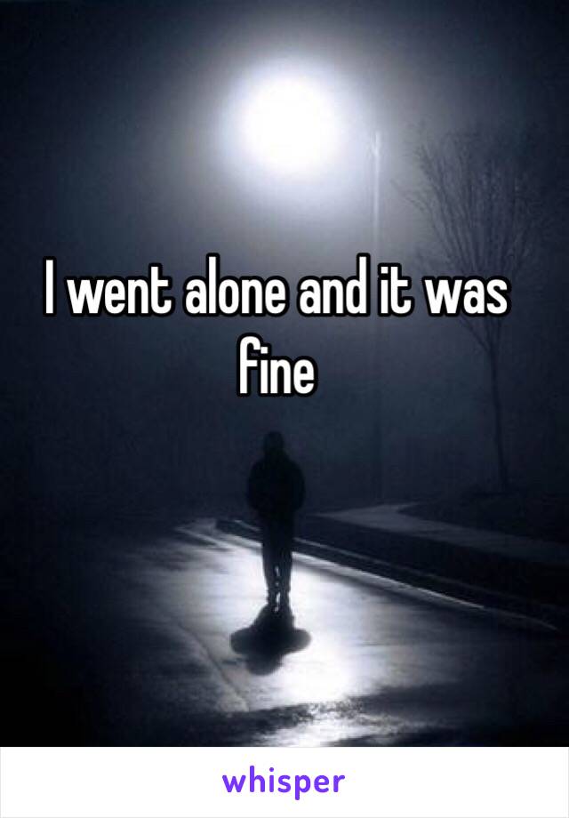 I went alone and it was fine