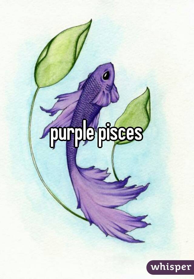 purple pisces
