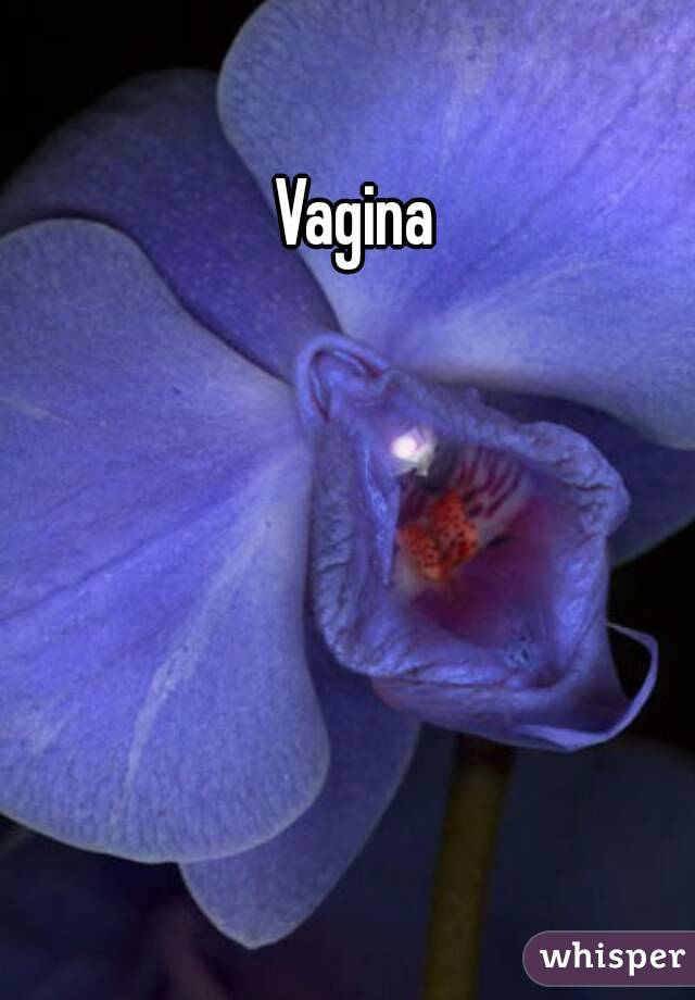 Vagina