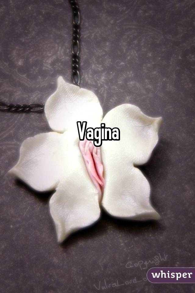 Vagina
