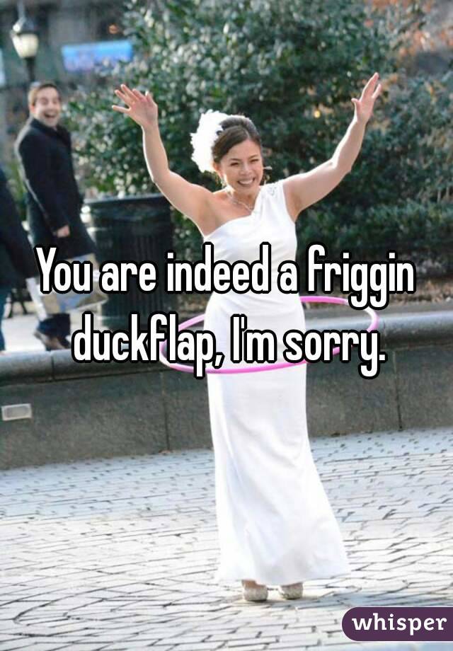 You are indeed a friggin duckflap, I'm sorry.