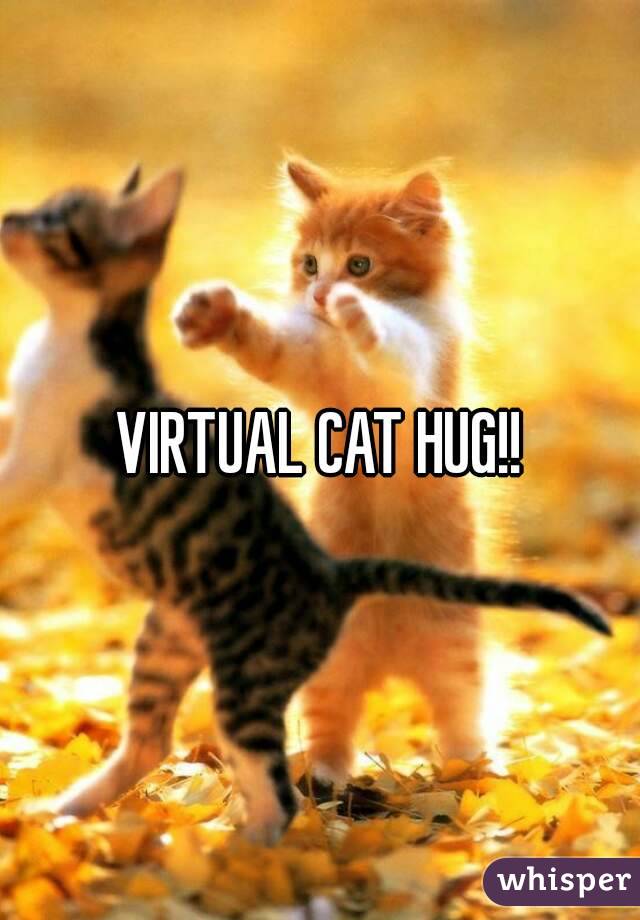 VIRTUAL CAT HUG!!