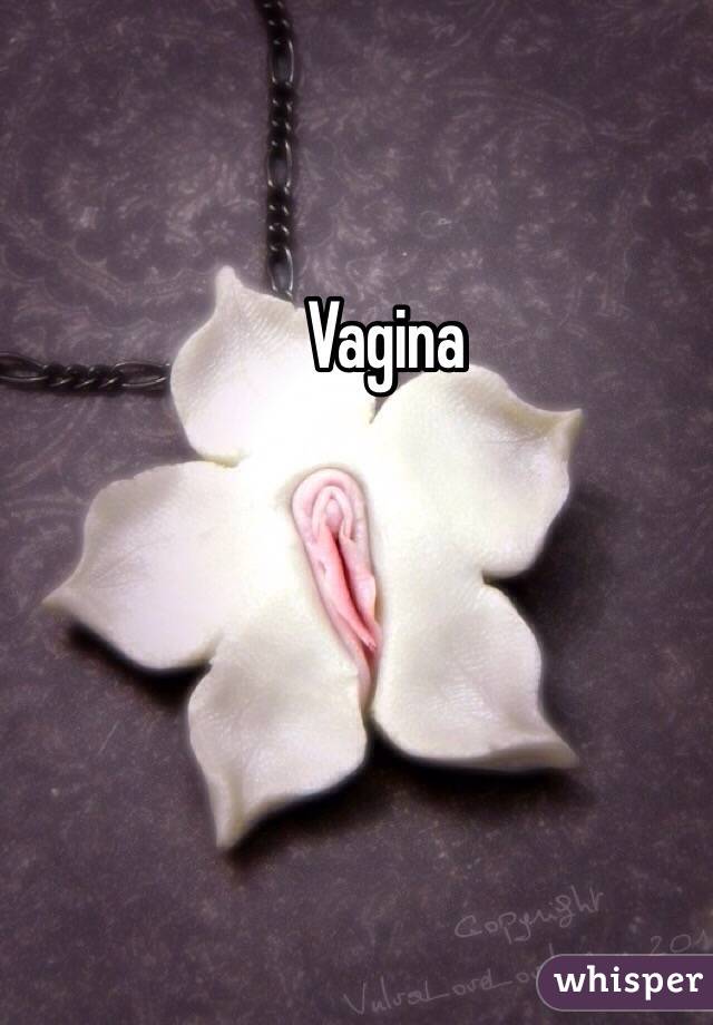 Vagina