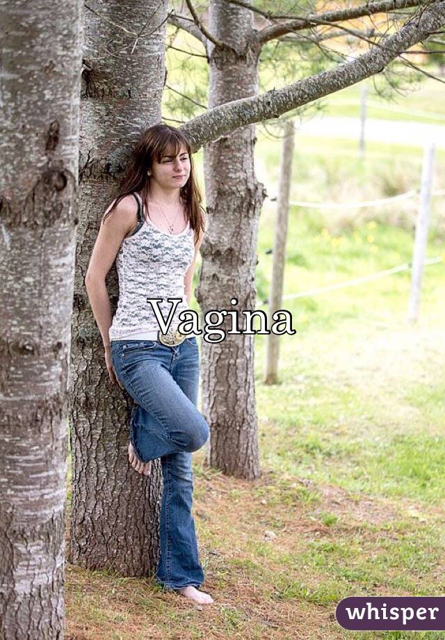 Vagina 